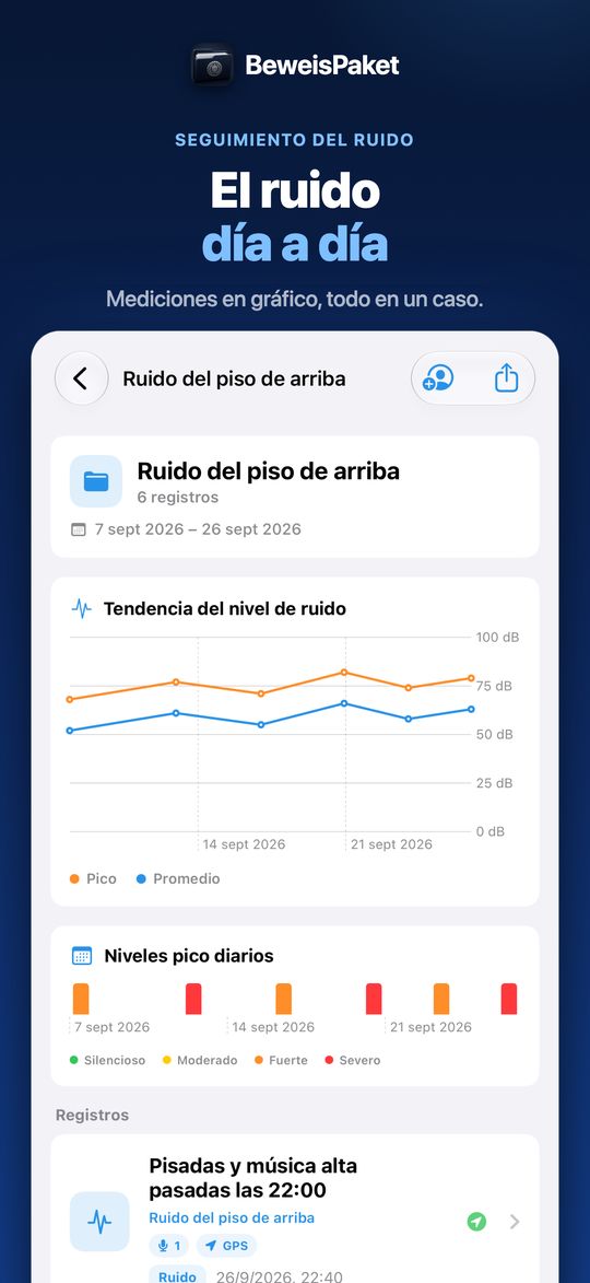 El ruido día a día – Mediciones en gráfico, todo en un caso.